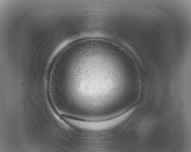 X0000081321416200701181916