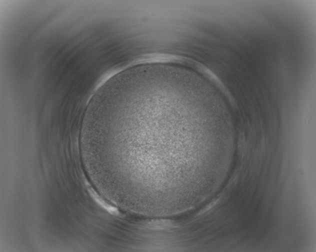 X0000081321417200701181916