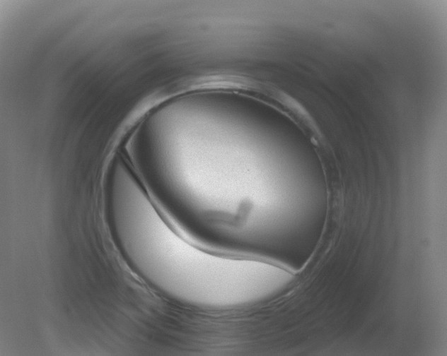 X0000081321419200701181916