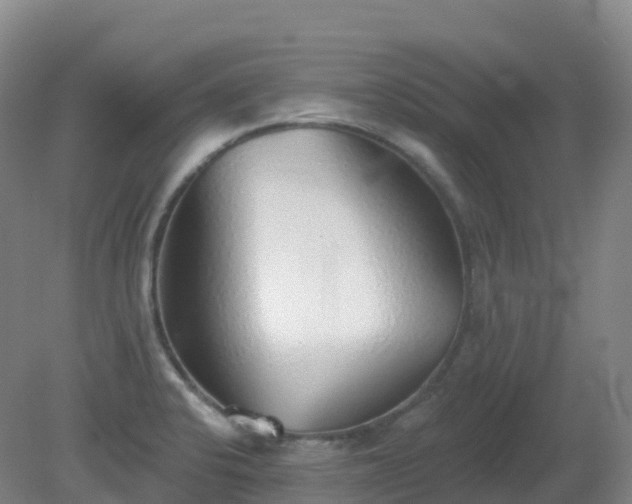 X0000081321424200701181916
