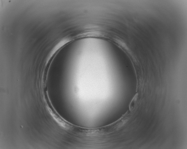 X0000081321426200701181916