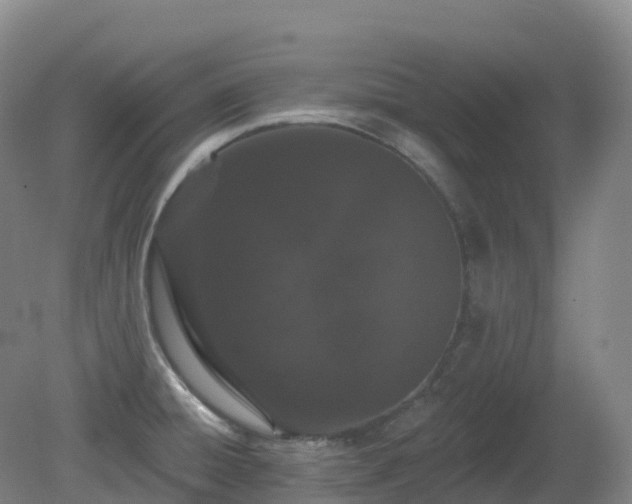 X0000081321428200701181916