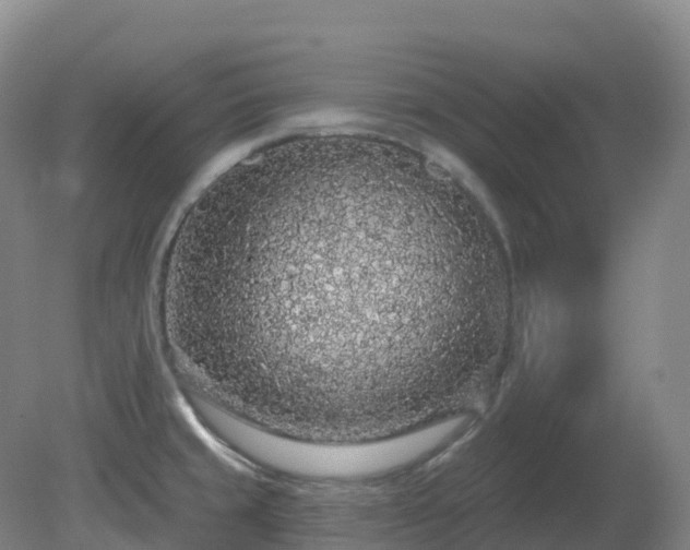 X0000081321429200701181916