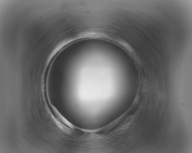 X0000081321430200701181916