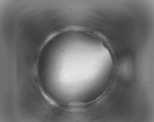 X0000081321433200701181916