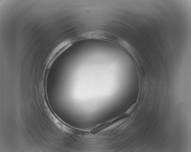 X0000081321434200701181917