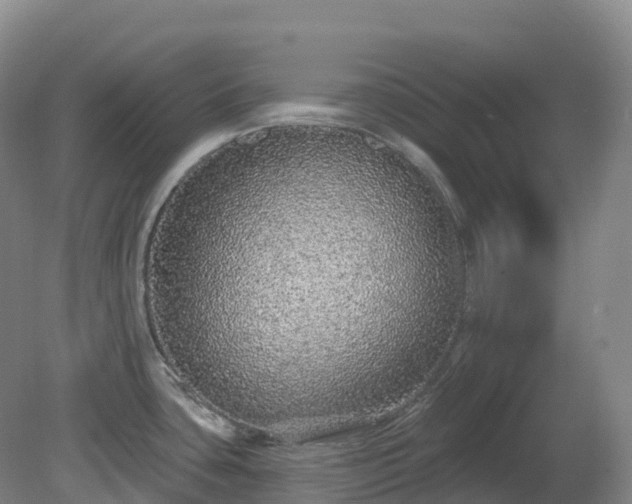 X0000081321435200701181917