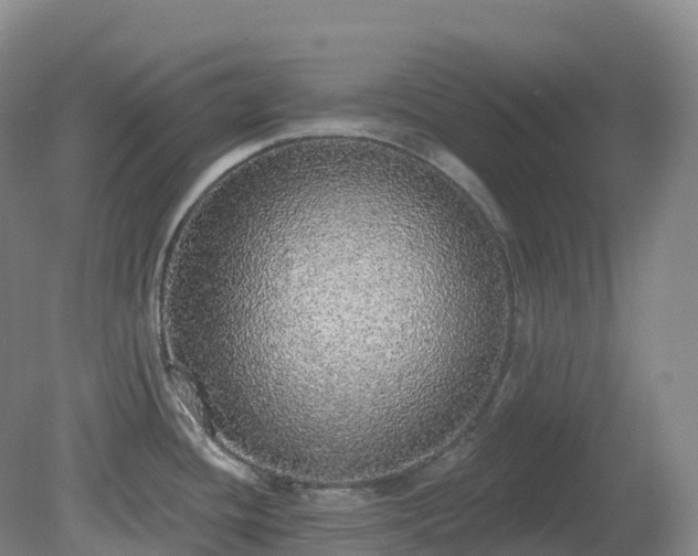X0000081321436200701181917