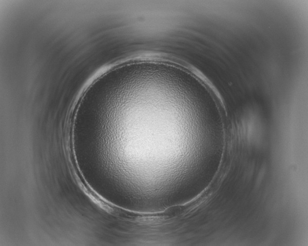 X0000081321437200701181917