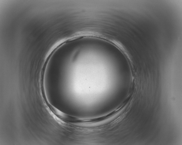 X0000081321438200701181917