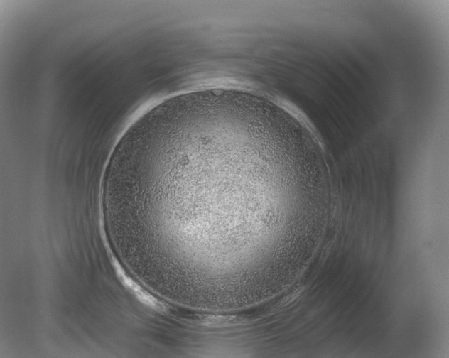 X0000081321439200701181917