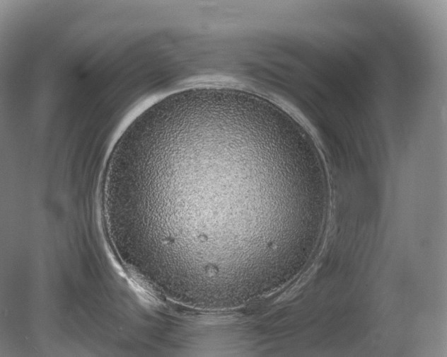 X0000081321440200701181917