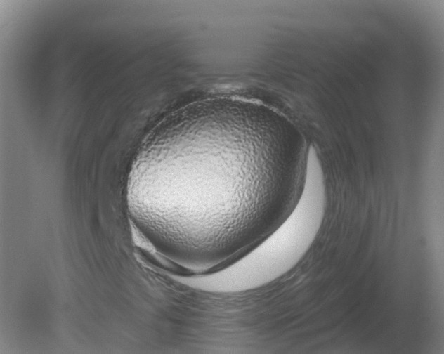 X0000081321441200701181916
