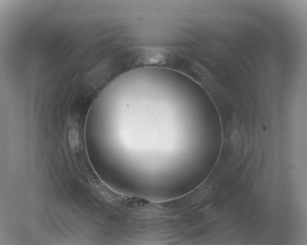 X0000081321442200701181916