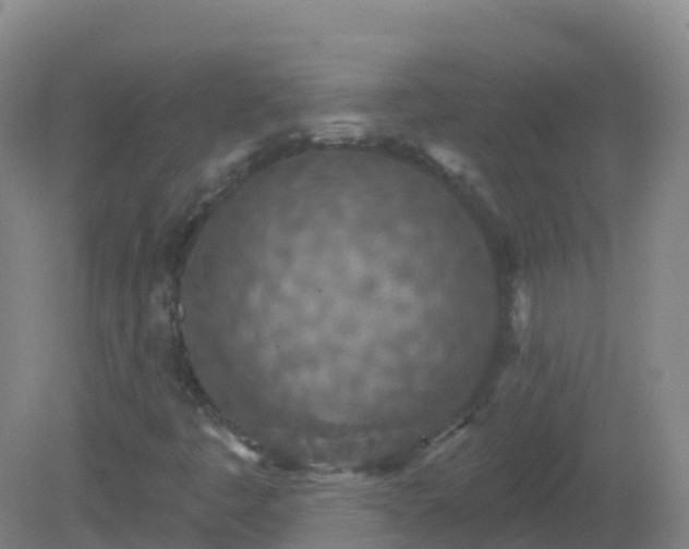 X0000081321445200701181916