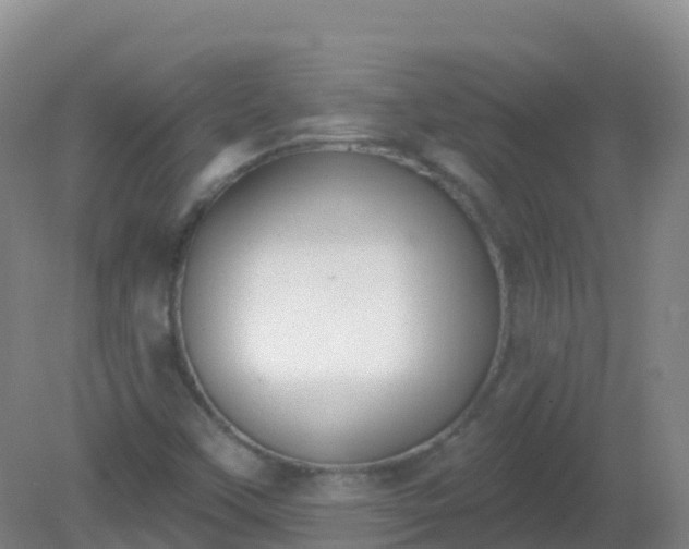 X0000081321451200701181916