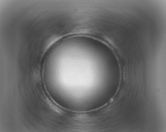 X0000081321452200701181916