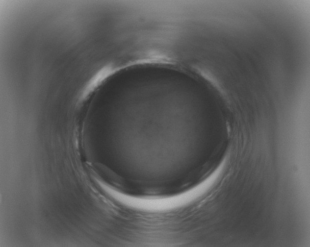 X0000081321455200701181916