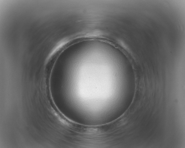 X0000081321456200701181916