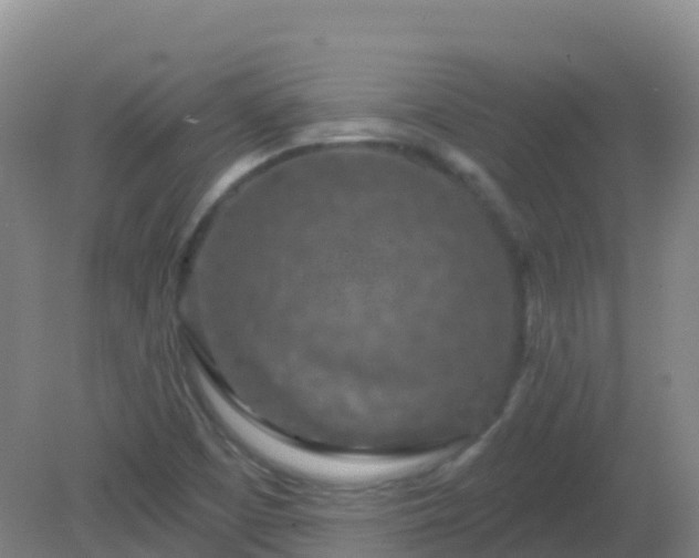 X0000081321457200701181916