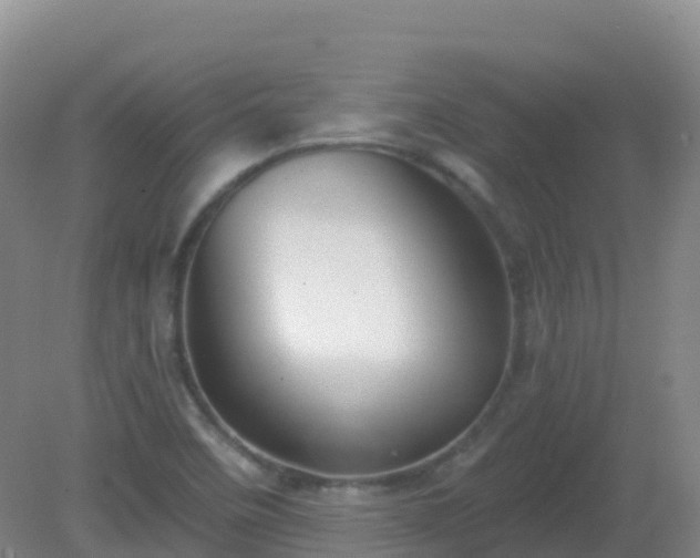 X0000081321458200701181916