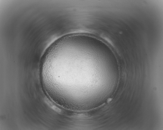 X0000081321460200701181915