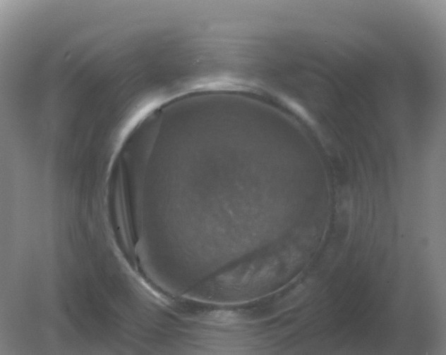 X0000081321463200701181915