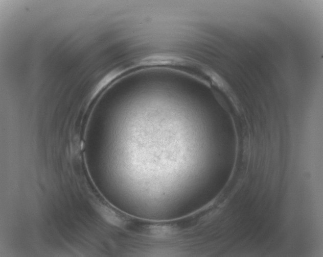 X0000081321465200701181915