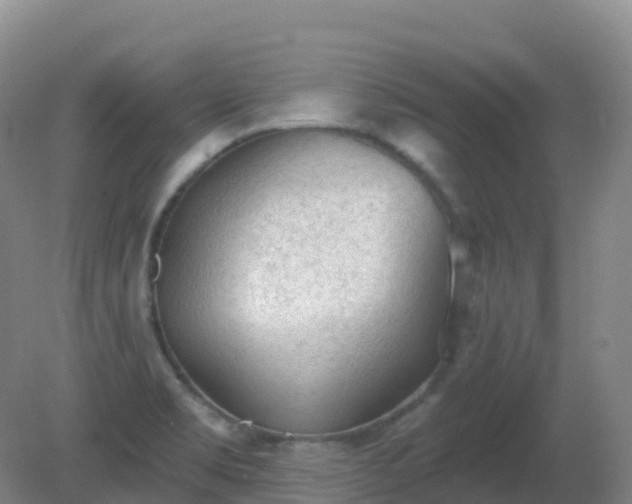 X0000081321469200701181915