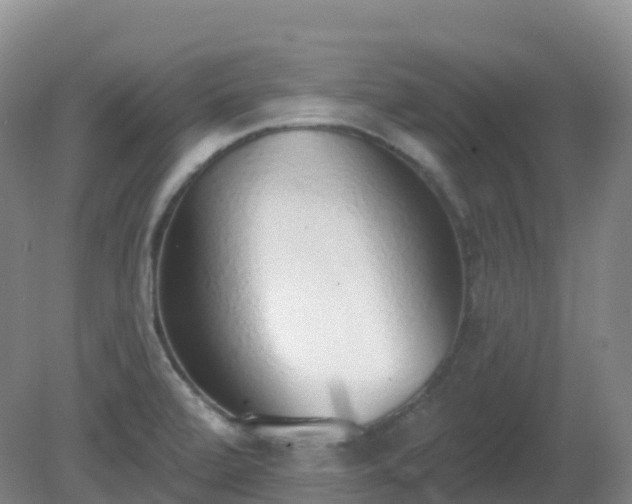 X0000081321472200701181915