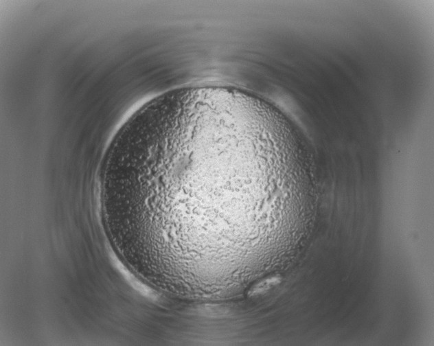 X0000081321476200701181915