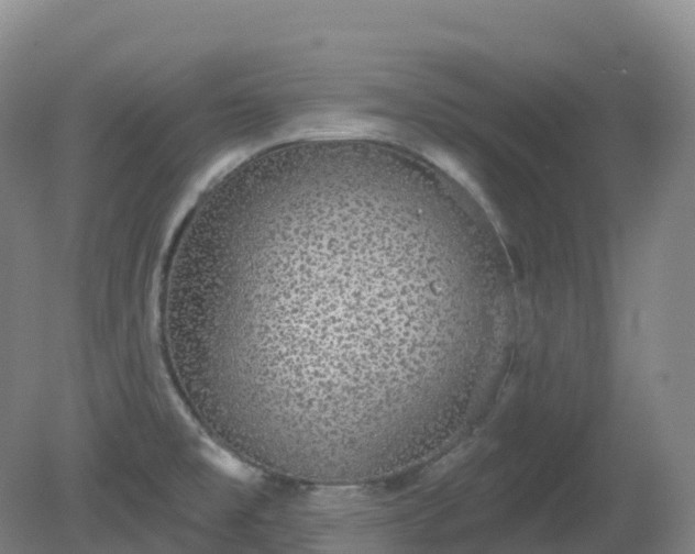 X0000081321477200701181915