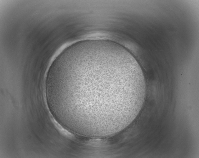 X0000081321478200701181915