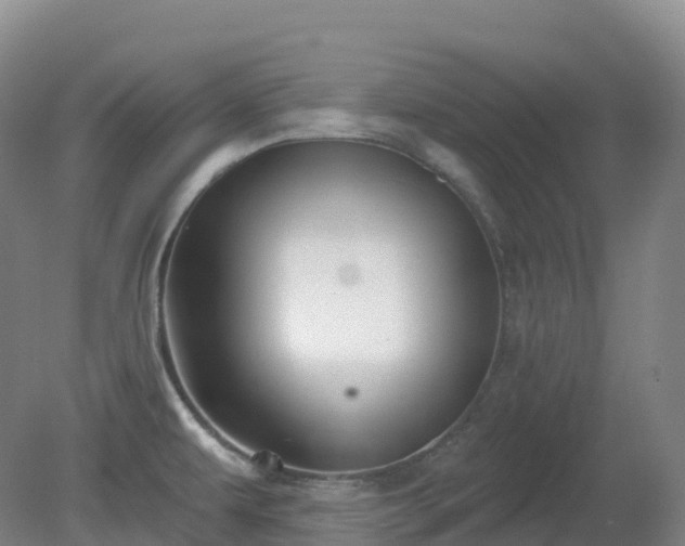 X0000081321479200701181915