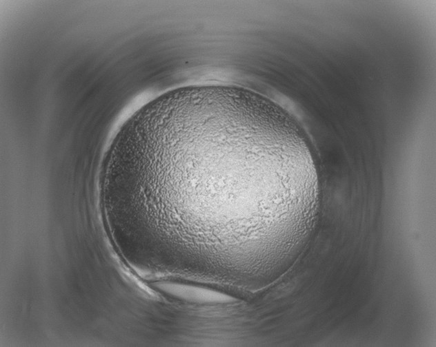 X0000081321480200701181915