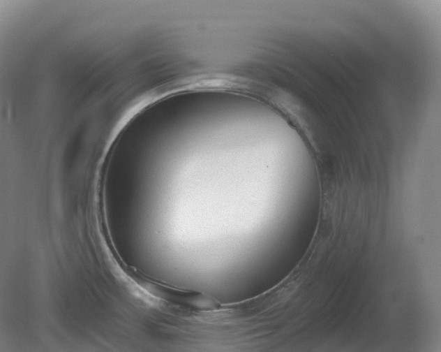 X0000081321483200701181915