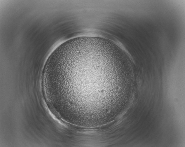 X0000081321484200701181915