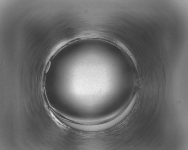 X0000081321485200701181915