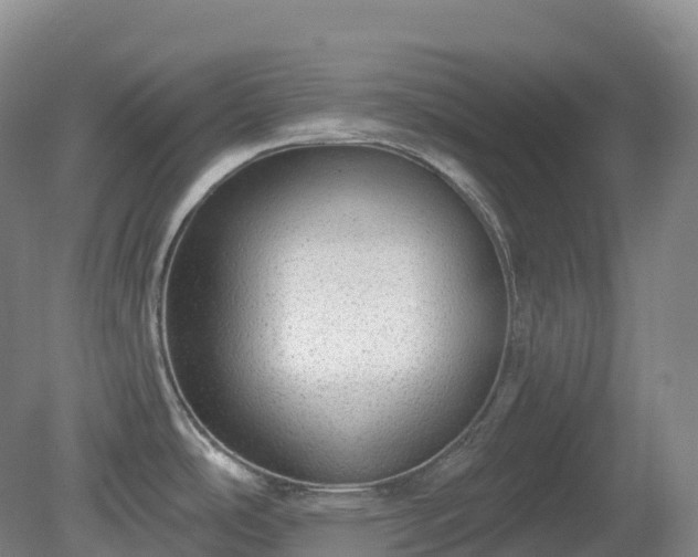 X0000081321486200701181915