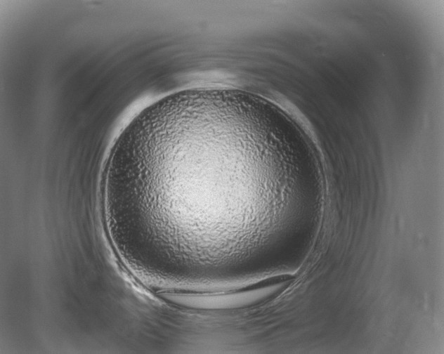 X0000081321488200701181915
