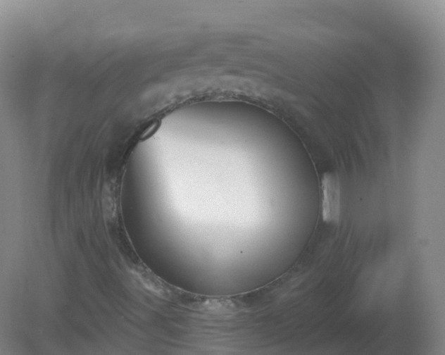 X0000081321491200701181914