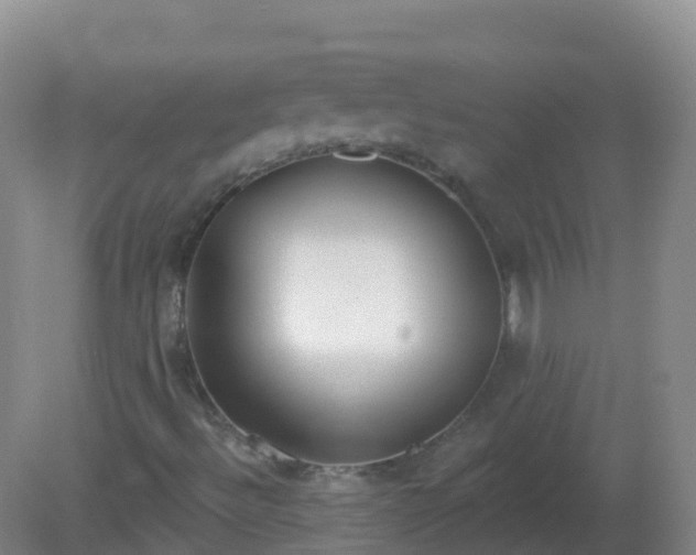 X0000081321492200701181914
