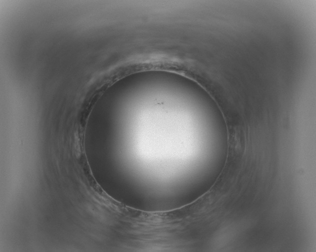 X0000081321493200701181914