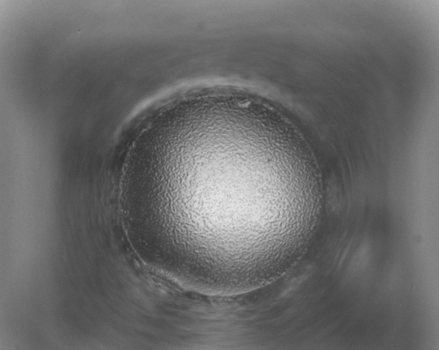 X0000081321494200701181914