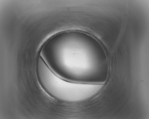 X0000081321500200701181914