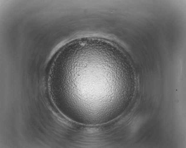 X0000081321501200701181914