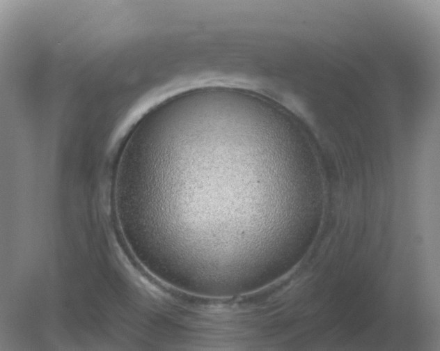 X0000081321504200701181914
