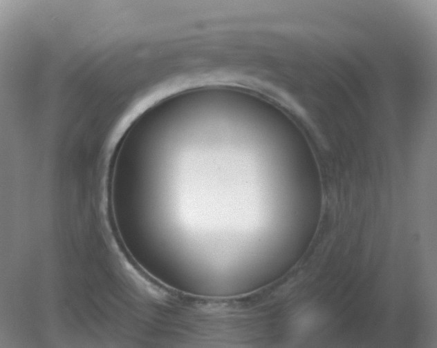 X0000081321512200701181915