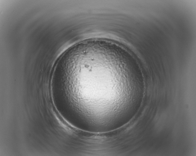 X0000081321513200701181915
