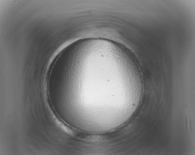 X0000081321517200701181915